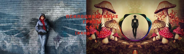 mix Алексеевка
