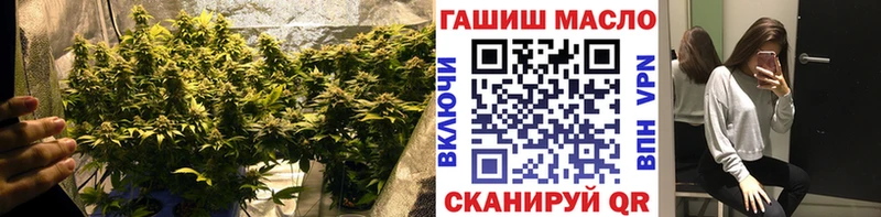 хочу Аргун Дистиллят ТГК гашишное масло