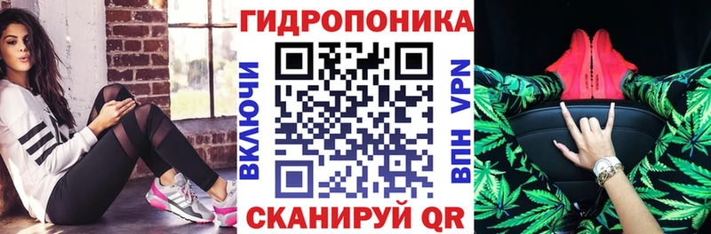 купить  сайты  Аргун  Канабис план 
